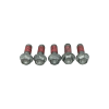 Rear Brake Disc Screws 2b002416