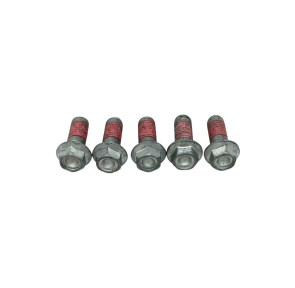 Rear Brake Disc Screws 2b002416