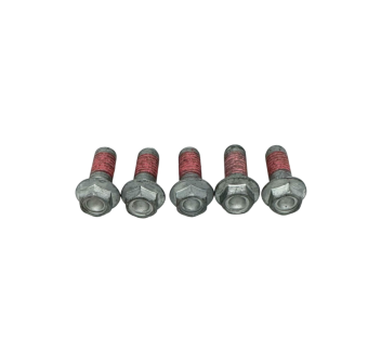 Rear Brake Disc Screws 2b002416