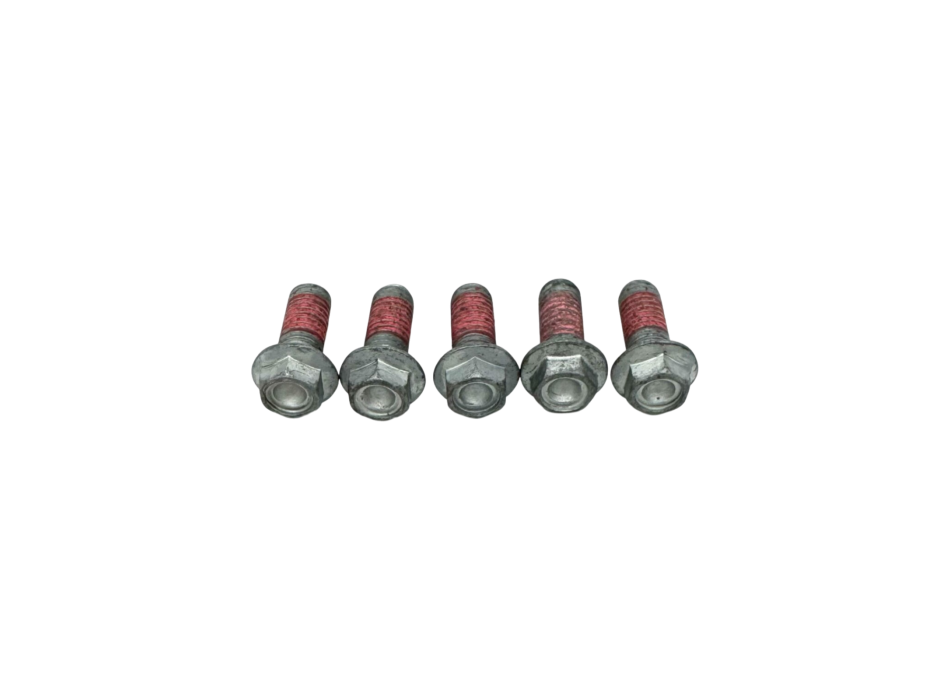 Rear Brake Disc Screws 2b002416