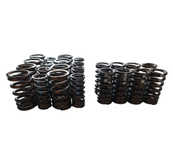Rsv4 2017-2025 Intake And Exhaust Valve Spring Kit