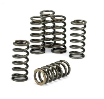 Rsv4 Clutch Spring Kit 893777