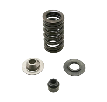 RSV4 Exhaust Valve Spring Kit 2009-2012 - Part No. 2R000042