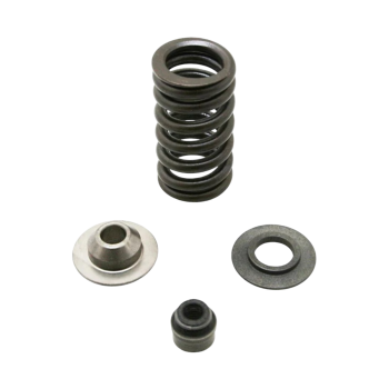 RSV4 Exhaust Valve Spring Kit 2015-2016 - Part No. 2R000260