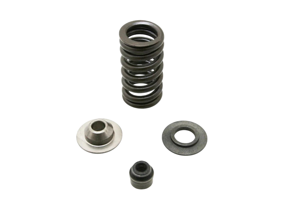 RSV4 Exhaust Valve Spring Kit 2015-2016 - Part No. 2R000260
