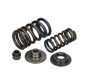 RSV4 Intake Valve Spring Kit 2011-2016 - Part No. 2R000037