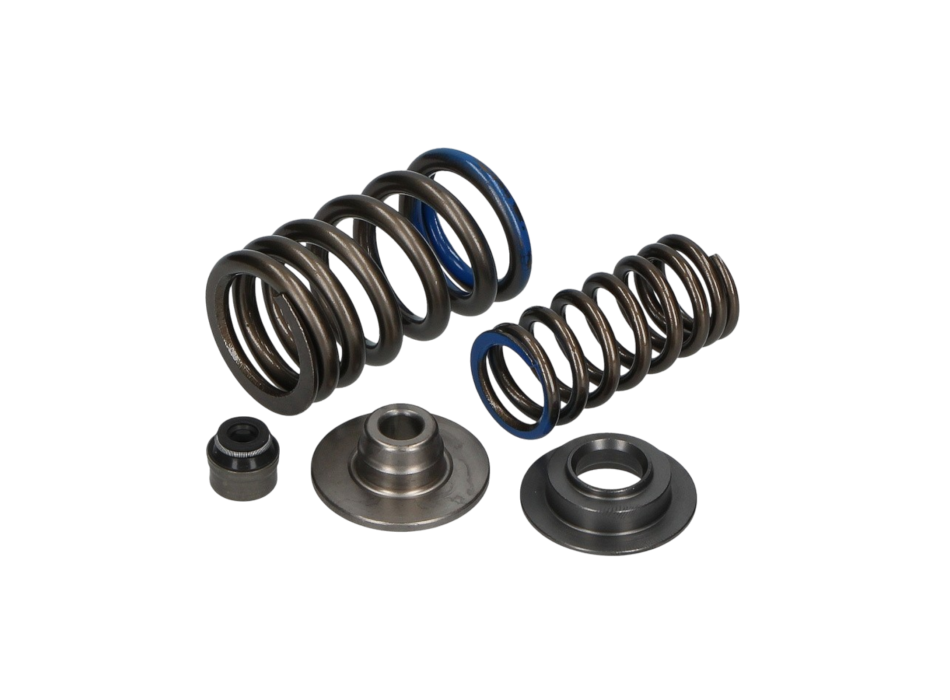 RSV4 Intake Valve Spring Kit 2011-2016 - Part No. 2R000037