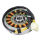 Kit Statore Volano Rsv4 Tuono V4 1A010574