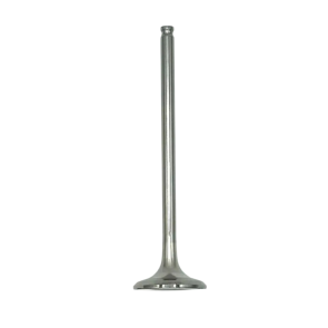 Valvola Di Scarico 2A000236 per V4