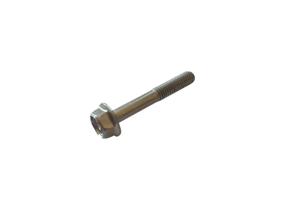 Vite piedino per forcelle Ohlins 2B006022