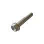 AP8152414 M10x55 flanged bolt for Aprilia radial brake calipers