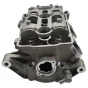 Complete Cylinder Head Aprilia 1A028009 for RS660 / Tuono 660 Euro 5+