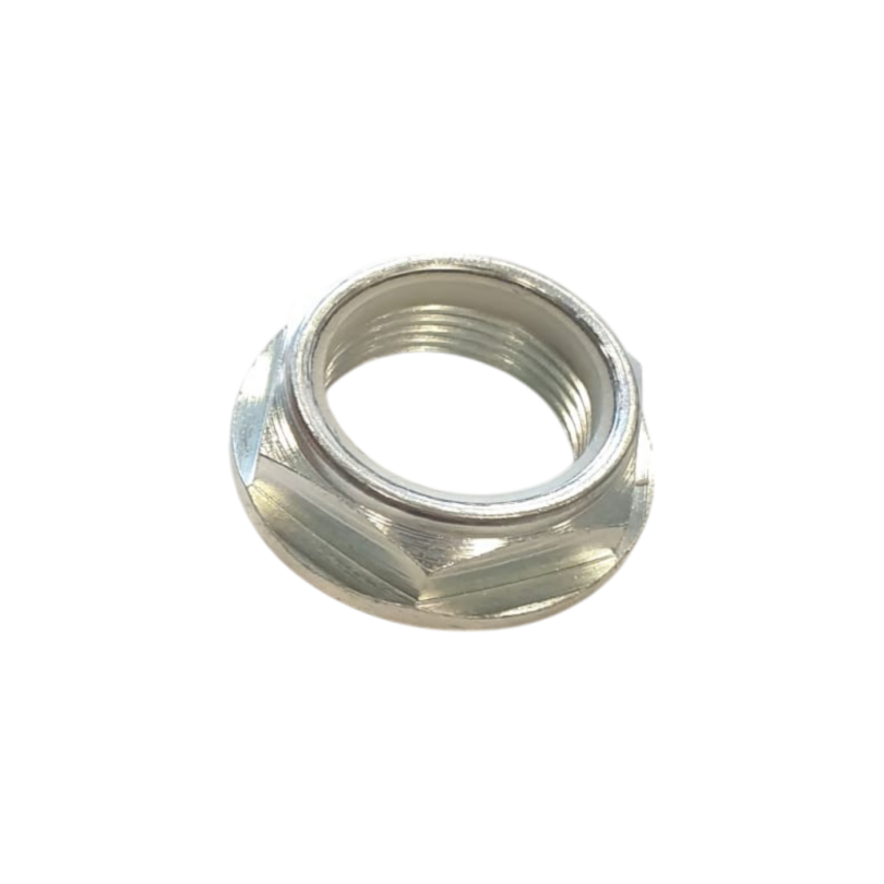 Rear Wheel Axle Nut AP8152324
