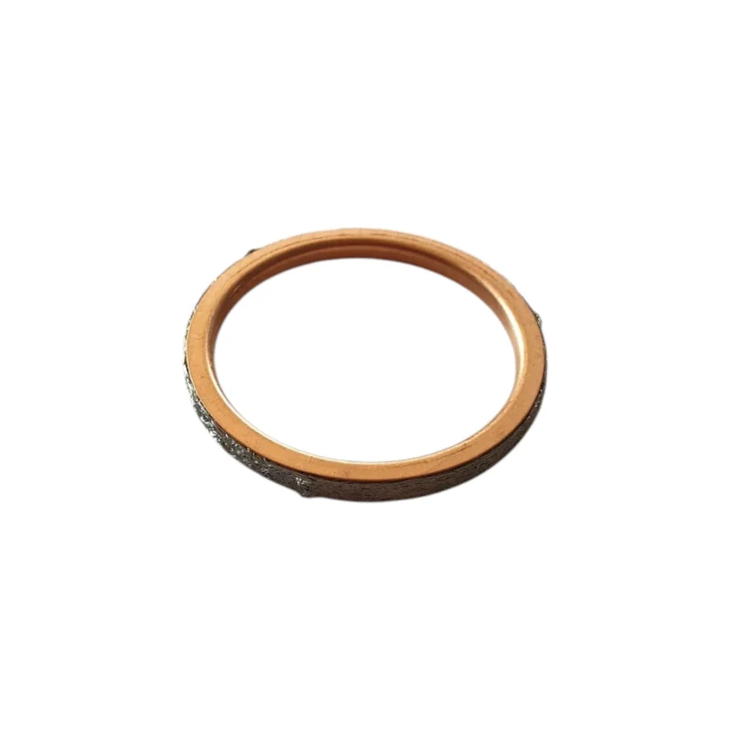 Exhaust Gasket 2B012220 for V4 and 660 Engines