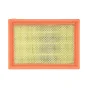 Original Air Filter Rsv / Tuono / Rsv4 R / Tuono V4 / Rxv / Sxv AP8104329