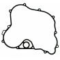 Flywheel Crankcase Gasket RS660 - Tuono 660 - Tuareg 660 1A013508