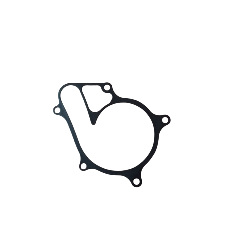 Water pump gasket art. 1A024071