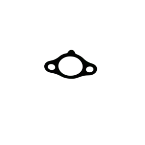 Water Connection Gasket 1A006321