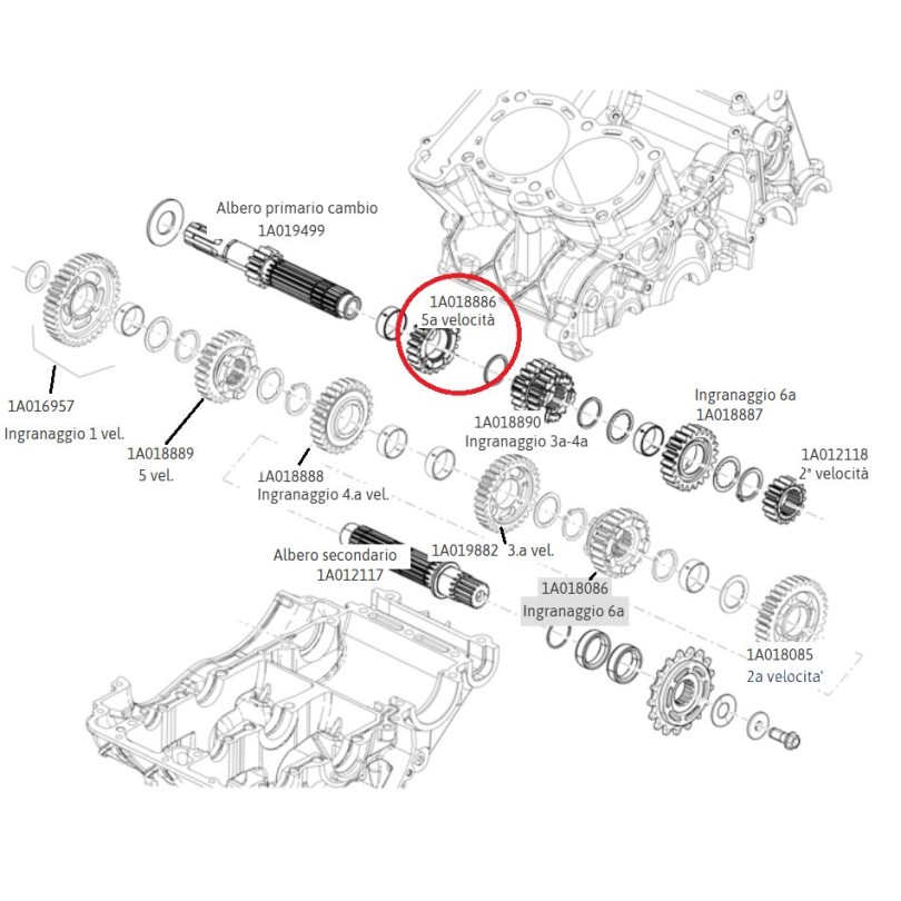 5-speed gear on primary shaft for Aprilia 660 art. 1A018886