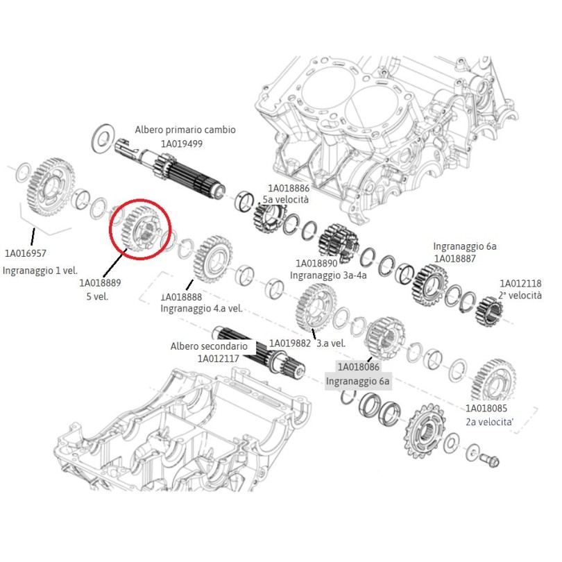 5-speed gear on secondary shaft for Aprilia 660 art. 1A018889
