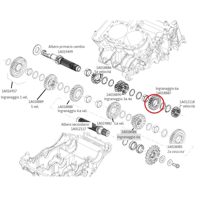 6-speed gear on primary shaft for Aprilia 660 art. 1A019958 (Ex 1A018887)