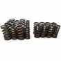 Intake and Exhaust Valve Spring Kit for RSV4 2017-2025