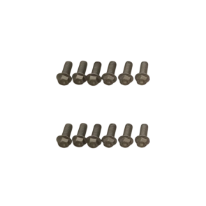 Brake Disc Screw Kit AP8152286
