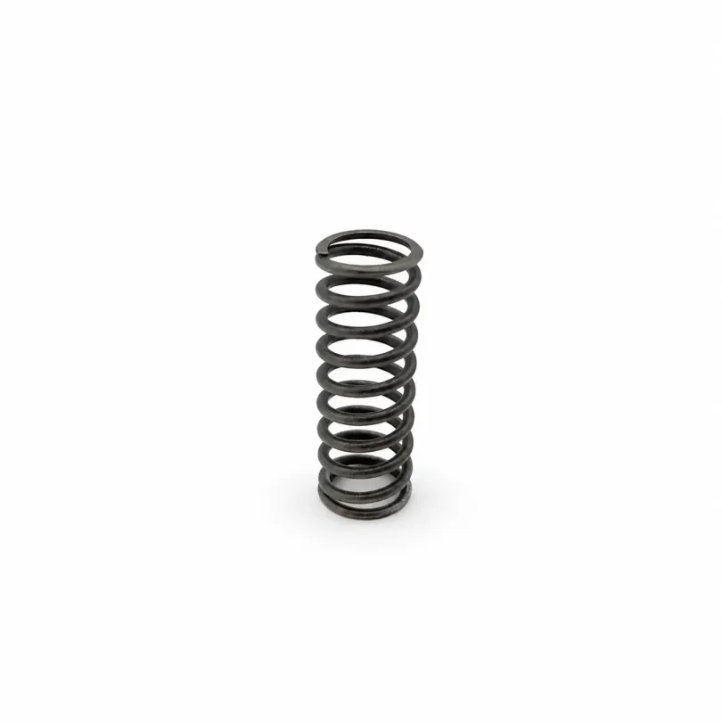 Aprilia 1A021361 Clutch Spring for RS 457 and Tuono 457 (EU 2024-2026 | USA 2025-2027)