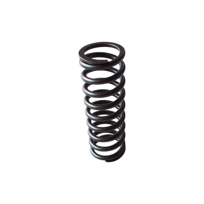 Aprilia clutch spring item 1A018698 for RS660, Tuono 660, Tuareg 660