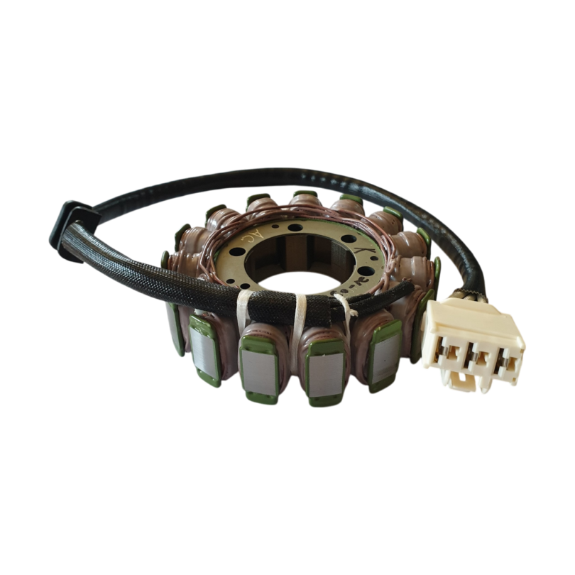 Rick's Motorsport Aprilia RSV4 Tuono V4 Stator