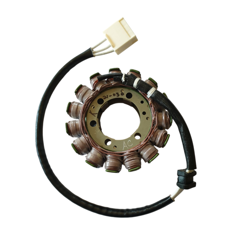 Rick's Motorsport Aprilia RSV4 Tuono V4 Stator