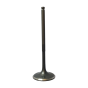 Intake Valve 1A013958 660 engines