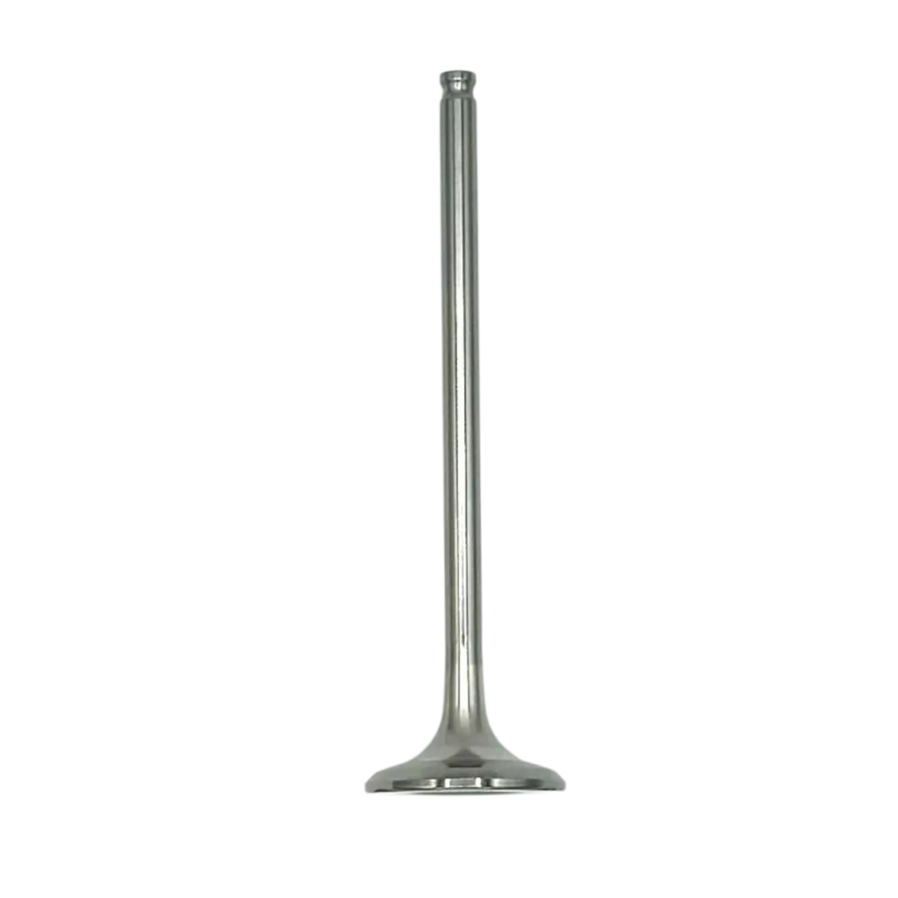 Exhaust Valve 2A000236 for V4