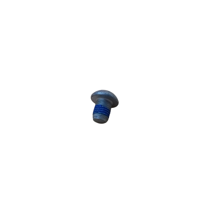 Domed head screw item 1A013092 - fixing the timing gear to the Aprilia camshafts